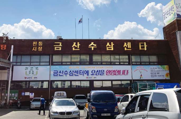 신이 내린 선물, 금산인삼…천년의 뿌리로 세계를 품다 기사 이미지
