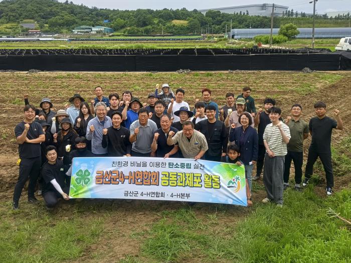 금산군4-에이치(H)연합회, 공동과제포 감자 수확하며 농업 실천 역량 강화 기사 이미지