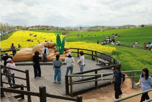 ‘봄의 기억, 길 위에 남다’ 고창군, 4월18일 제23회 고창 청보리밭 축제 개막 기사 이미지